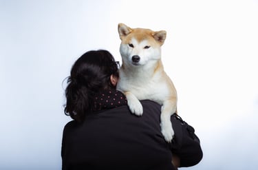 photographe animalier studio brest finistère