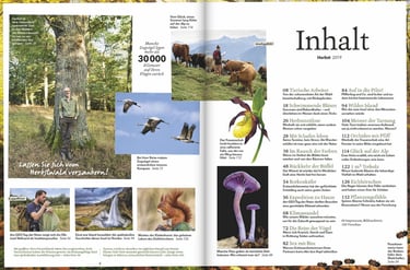 Wohllebens Welt 3/2019 contents