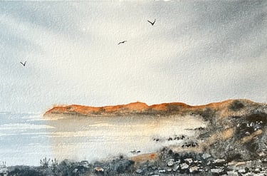 hav, strand och fåglar