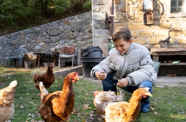 Les Mardis à la Ferme du Lion d'Or