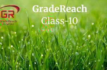 Olympiad for class 10