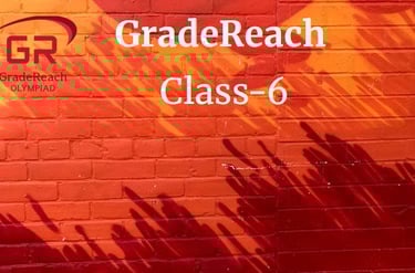 Olympiad for class 6