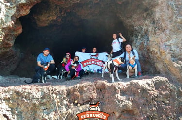 Un grupo de excursionistas y sus perros posan con una pancarta dentro de una cueva rocosa 