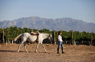 Turismo rural en San Rafael Mendoza