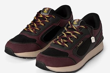 Harry Potter: Gryffindor Men and Boys sneakers 