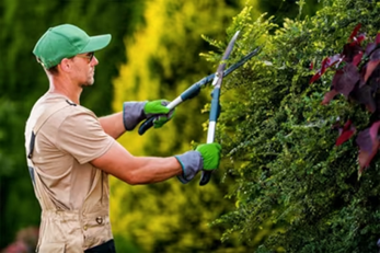 l mantenimiento de los jardines de la comunidad 