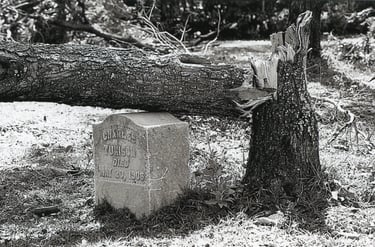 The Fallen