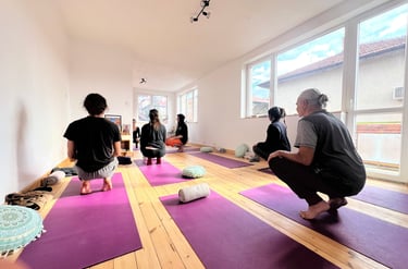 Wellness center Kyustendil