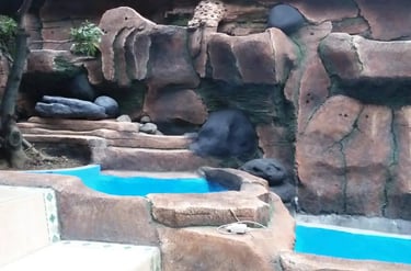 air terjun dengan desain alami