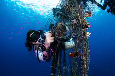 Project AWARE Specialty Courses