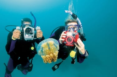 PADI Digital Underwater Photographer