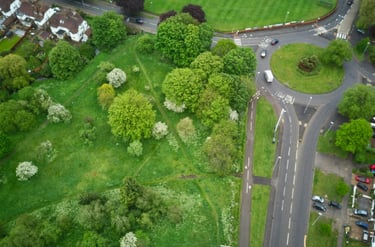 Green space in a town