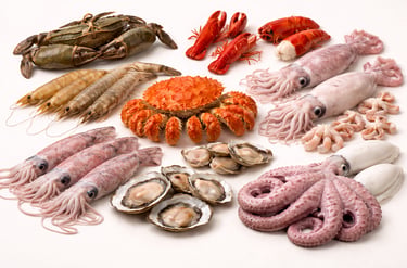 Mixed shellfish and cephalopods selection including crab, squid, octopus, shrimp, and oysters
