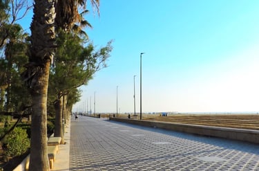 Paseo de la Playa de las Arenas Valencia