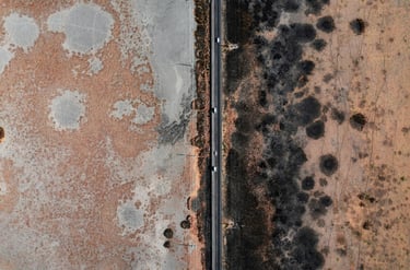 Mould