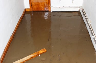 Flooded Basement
