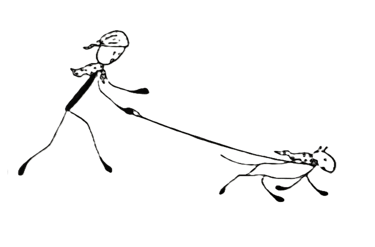 Noseknot wearing man running after a noseknot wearing dog