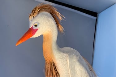 Carved by Louis Livan