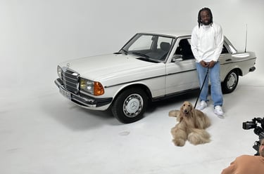 voiture mercedes vintage et chien couché sur fond blanc en studio
