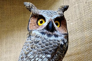 Carved by Jimmy Delacruz 