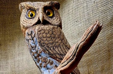 Carved by Jimmy Delacruz