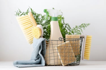 Produits de nettoyage écologiques