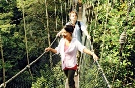 3 Days 2 Nights Kuala Tahan National Park Tour & Travel Packages