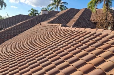 roof cleaning wilton manors fl 