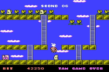 Rod-Land NES 8-bit