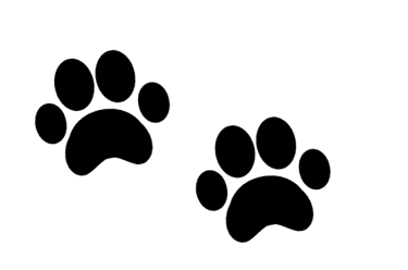 Pawsome