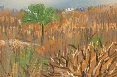 Hotel view at Victoria Falls - digital postcard
