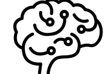 Desarrollo cognitivo y emocional. Espacio Mare Cognitum