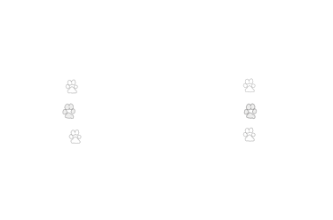 logo for rebecca reed photography