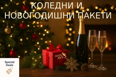 Коледни и Новогодишни оферти хотел Авис Сандански