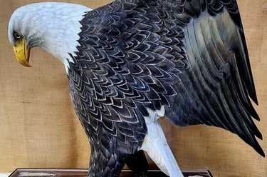 Carved by Louis Livan