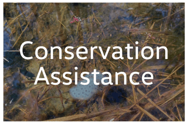 Conservation Assistance Tab