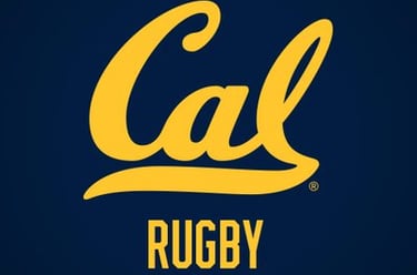 fiduciary trust estate administration Lion Pride Kevin Mein California Attorney