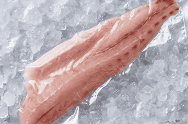 Fresh raw fish fillet in vacuum sealed plastic packaging resting on a bed of crushed ice cubes.