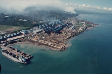 please provide a nice background