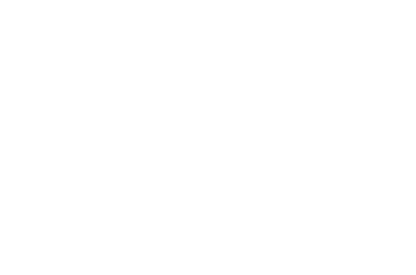 a chain link 