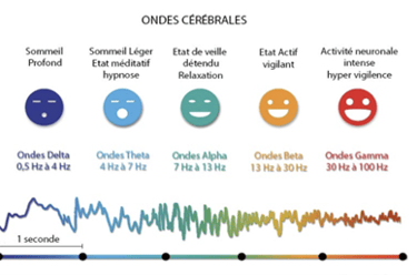 Ondes cérébrales et état 