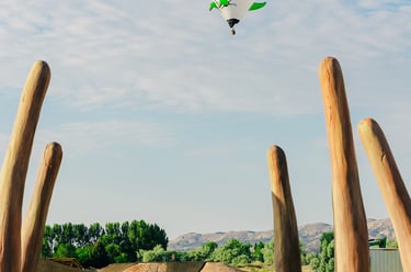 A green dinosaur hot air balloon flies over a modern asphalt pump track with wooden sculptures.