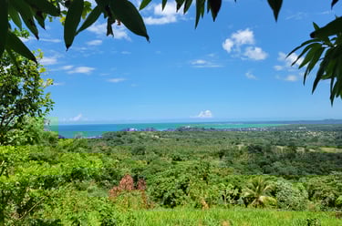 Uso de inversión flexible