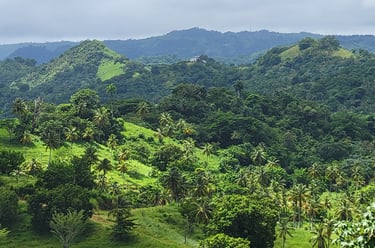 una visión patrimonial y de largo plazo