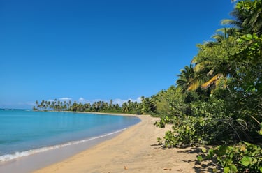 Un marco seguro y transparente para inversionistas internacionales