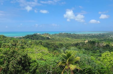 Terrenos claramente identificados y deslindados