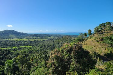 land suitable for low-density, ocean-and-mountain projects is becoming increasingly scarce.