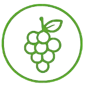 Green line art icon of a bunch of grapes with a leaf inside a circle on a black background.