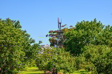 The orchard and the windmill of Rippon Lea Estate