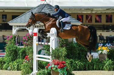 Rider Margie Goldstein-Engle goes over a fence on a striking bay horse